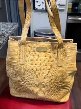 Gorgeous Brahmin Stanton Tote Champagne